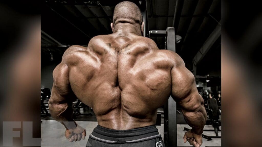A body builder showing his back in the gym