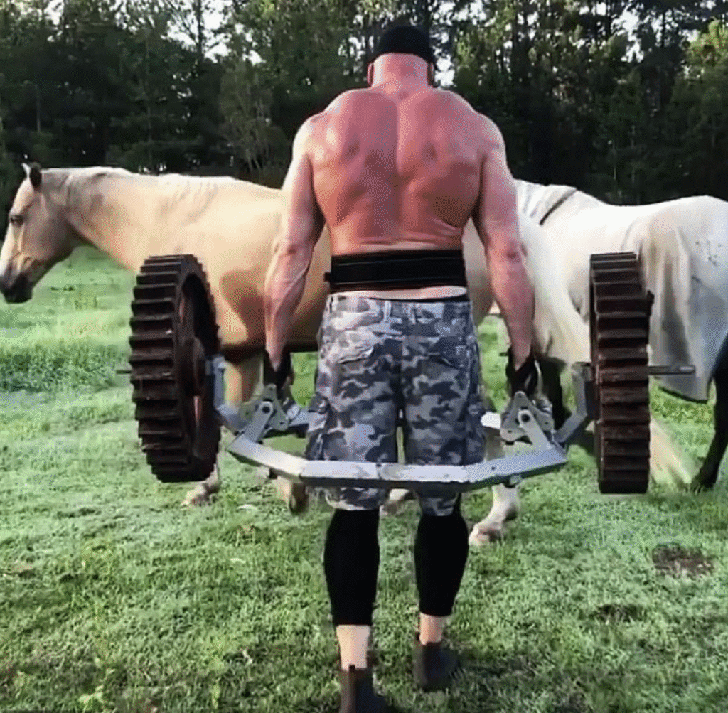 Screenshot 2025-12-16 at 12.33.53 PM